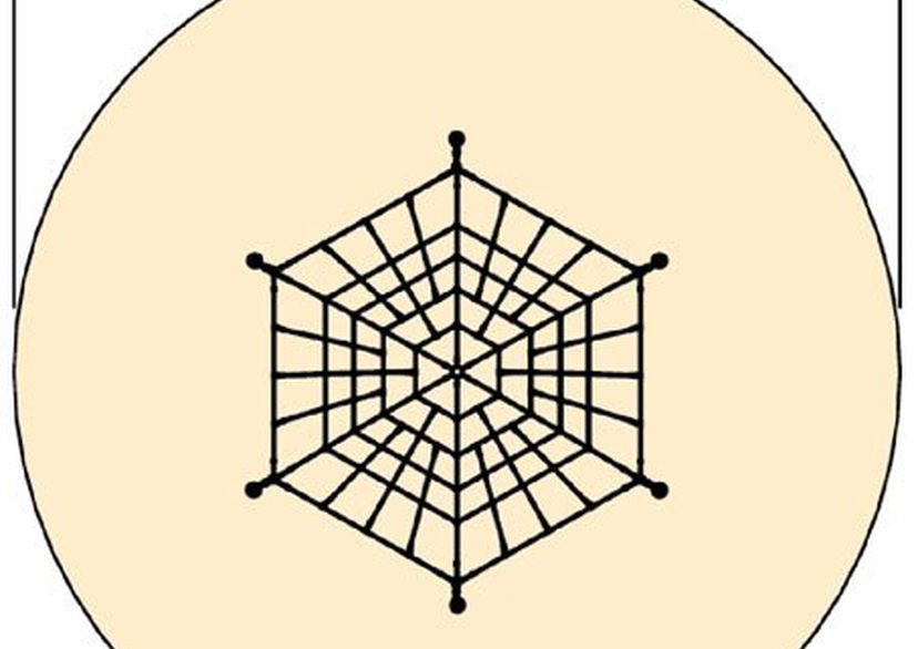 Spinneweb „Steindorf“ met stalen palen 3