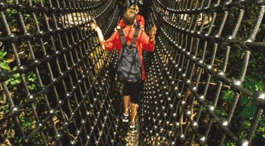 Klimtunnel geheel 2