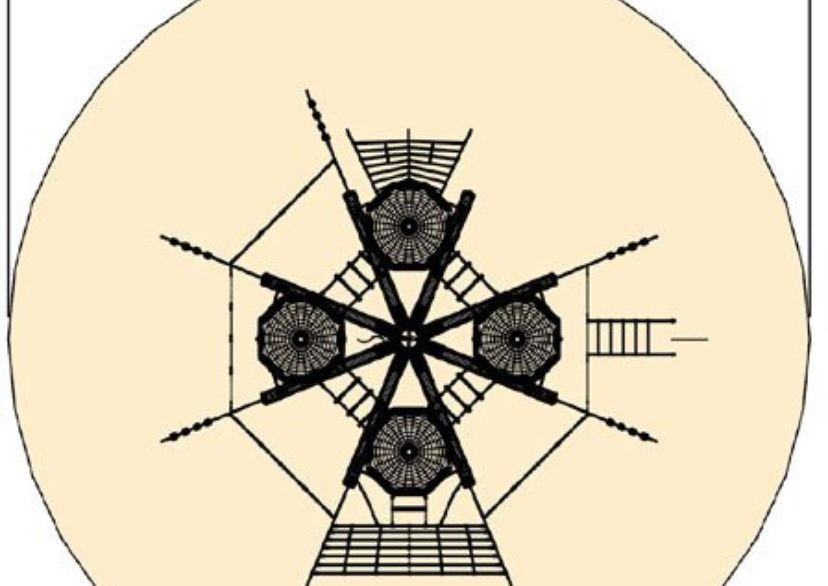 Vogelnestboom 4