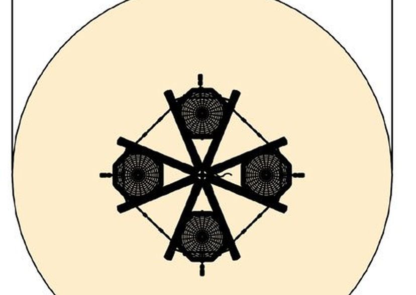 Vogelnestboom midi 5