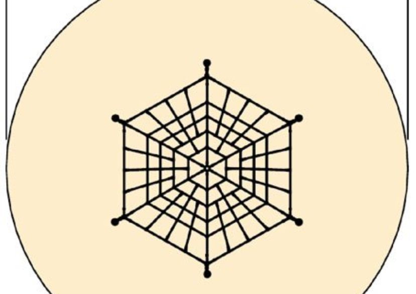 Spinneweb „Steindorf“ met stalen palen 3