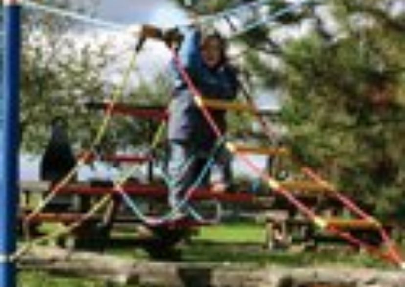 Klimspel 3-traps ladder voor robiniahouten palen