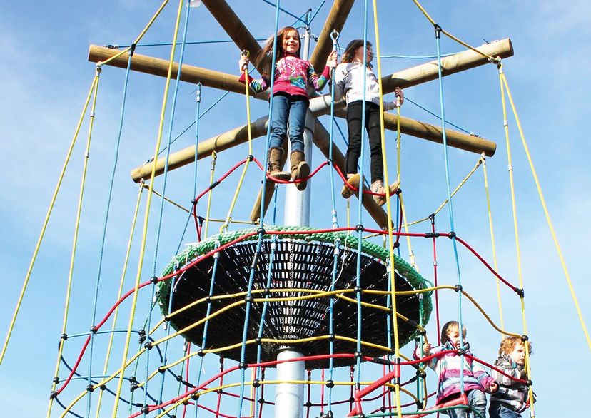 Vogelnestboom Ooievaarsnest