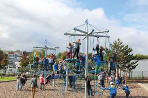 Vogelnestboom combinatie