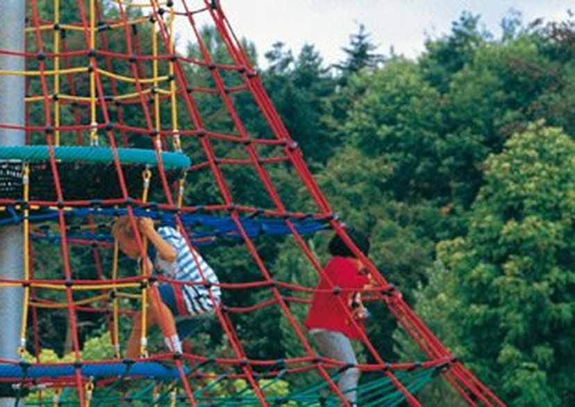 Klimnet piramide Dino 1