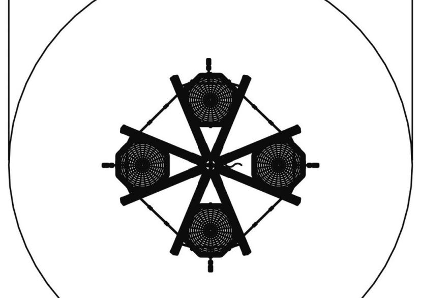 Vogelnestboom midi