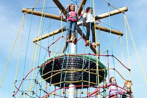 Vogelnestboom Ooievaarsnest