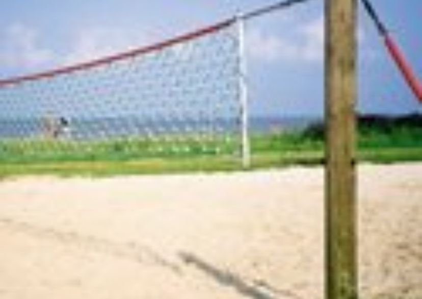 Volleybalnet met staalkern (hercules net met clipverbinding) zonder palen