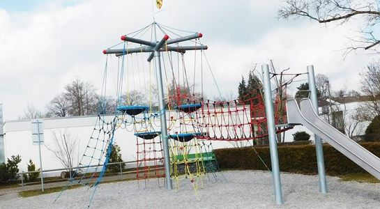 Vogelnestboom inclusief brug en glijbaan